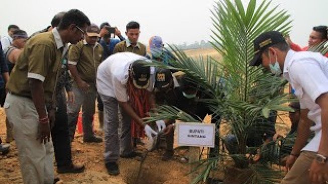Bupati Sintang Tanam Perdana Sawit di PT PALJ