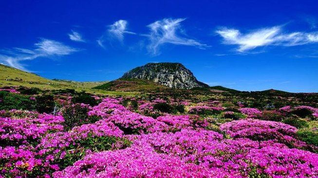 Halla Mountain (Wikimedia Commons Korea Net)