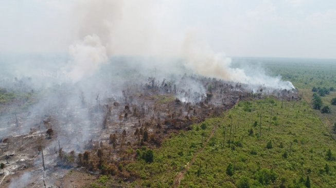 Karhutla Kalsel Siaga Darurat, 1.949 Hektare Lahan Gambut Telah Terbakar