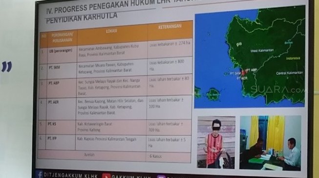 Pelaku perorangan dan korporasi terkait kasus Karhutla yang ditangani KLHK. (Suara.com/Ria Rizki).