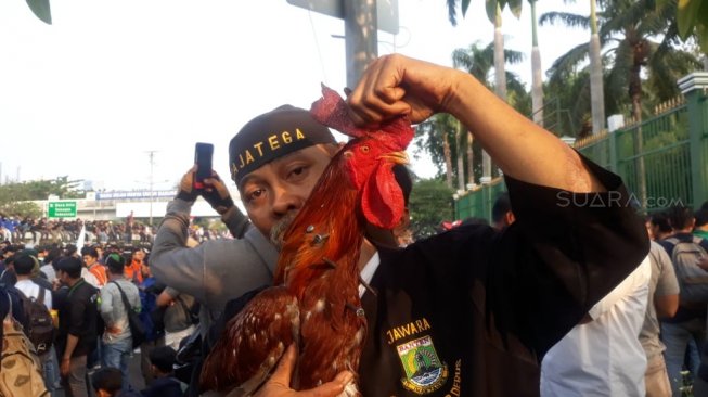 Ikut Aksi Mahasiswa, Jawara Banten Bawa Ayam Jago Tertancap Paku 12 Cm