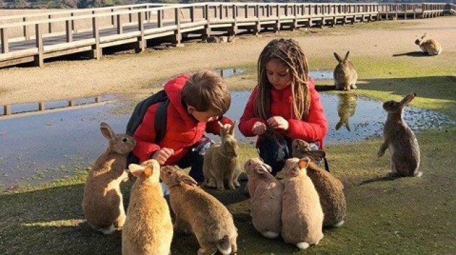 Kelinci tampak menghampiri wisatawan di pulau Okunoshima, Jepang. (Instagram/lipka.fm) 