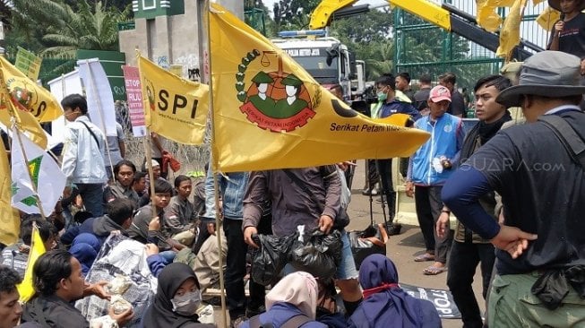 Serikat petani bagikan nasi bungkus kepada Mahasiswa yang berunjuk rasa di DPR RI. (Suara.com/Fakhri).