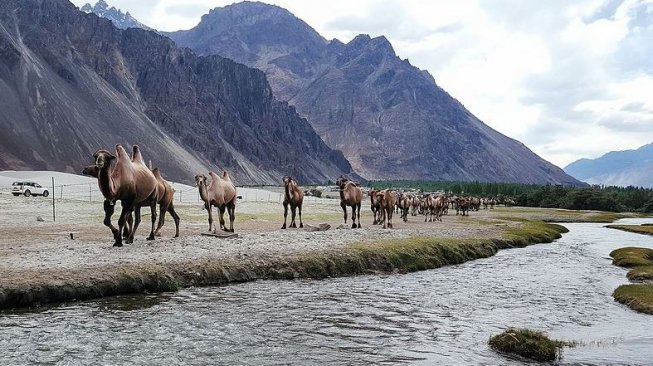 Nubra Valley (Wikimedia Commons Ashwin Kumar)