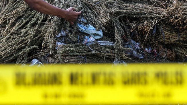 Kejari Nagan Raya Aceh Musnahkan 24,4 Kg Ganja dan 33,7 Gram Sabu