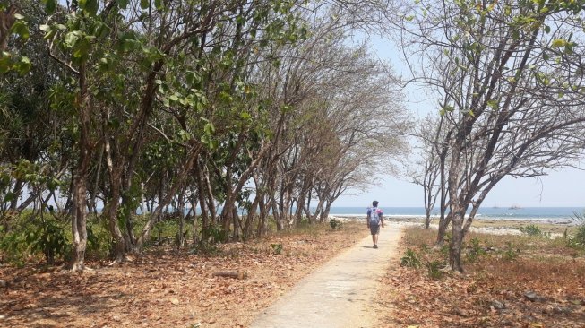 Pantai Tanjung Lesung 9 Bulan Pascatsunami. (Suara.com/Novian Ardiansyah)