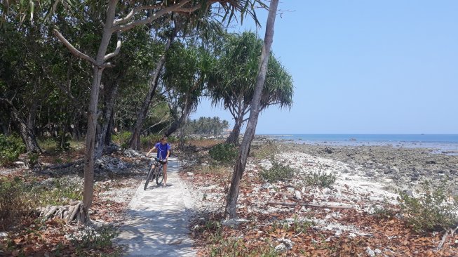 Pantai Tanjung Lesung 9 Bulan Pascatsunami. (Suara.com/Novian Ardiansyah)