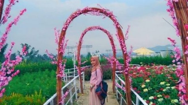 Pesona Taman Bunga Sinta Wisata di Pabuaran
