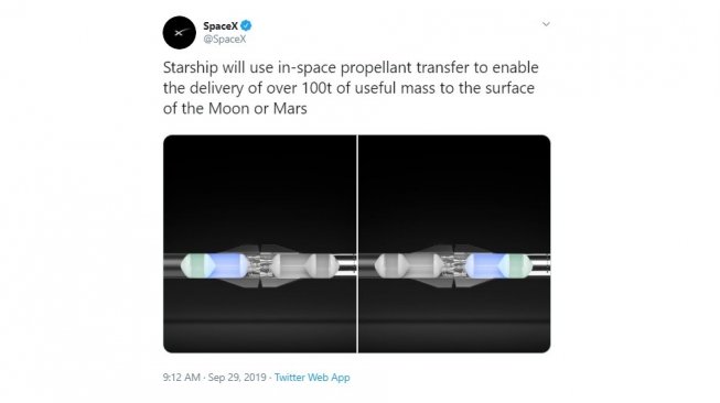 SpaceX Starship. [Twitter]