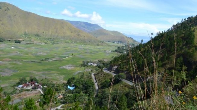 Jalan berliku. (Suara.com/Silfa Humairah)