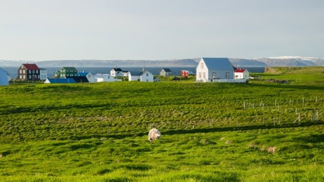 Pulau Flatey di Islandia dinobatkan sebagai pulau terindah di dunia. (Shutterstock)