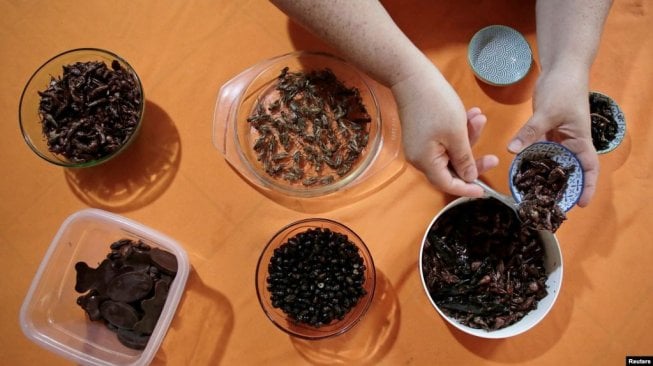 Pakar biologi Frederico Panigua dan keluarga menyantap kudapan dari serangga-serangga untuk mempromosikan serangga sebagai makanan bergizi dan murah, di Grecia, Kosta Rika, (Foto: Reuters)