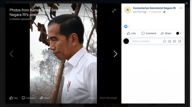 Foto Jokowi di lokasi karhutla - (Facebook/Kementerian Sekretariat Negara RI)