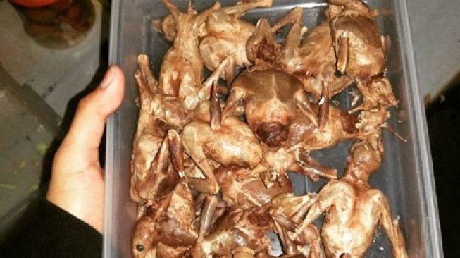 Virus Corona Mewabah, Bantul Pantau Kuliner Kelelawar dan TKI di China