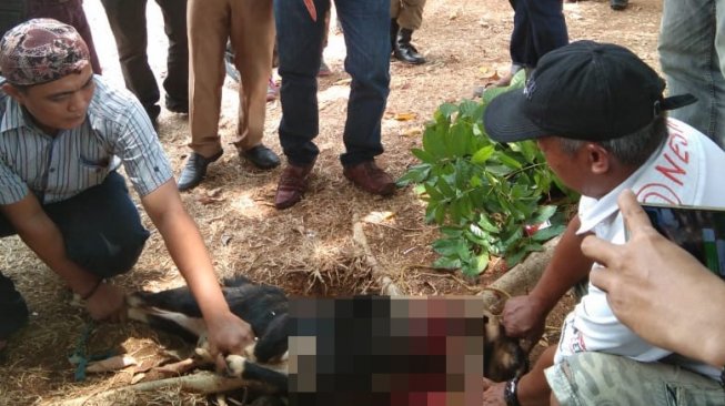 Senang Bupati Lampura Ditangkap KPK, Warga Potong Kambing di Halaman Pemkab