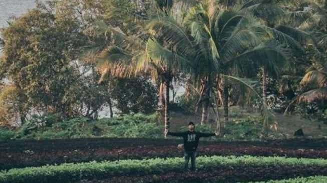 Berlatar Pulau Hiri dan Laut Lepas, Pesona Lahan Pertanian Takome