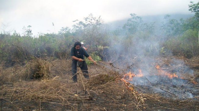 200 Hektare Hutan Gunung Arjuno Terbakar