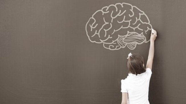 Ilustrasi perkembangan otak anak. (Shutterstock)