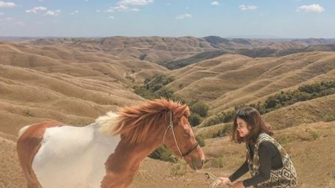 Menyibak Pesona Bukit Tenau di Sumba Timur