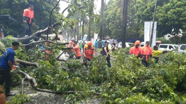 Pohon tumbang yang melintang di jalan kota Bogor. [Istimewa]