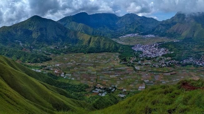 Sawah Tercantik di Indonesia yang Bisa Jadi Destinasi Wisata (Google Maps)