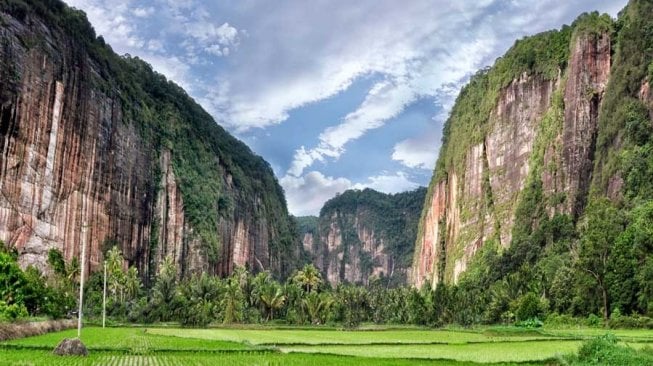 Sawah Tercantik di Indonesia yang Bisa Jadi Destinasi Wisata (Google Maps)