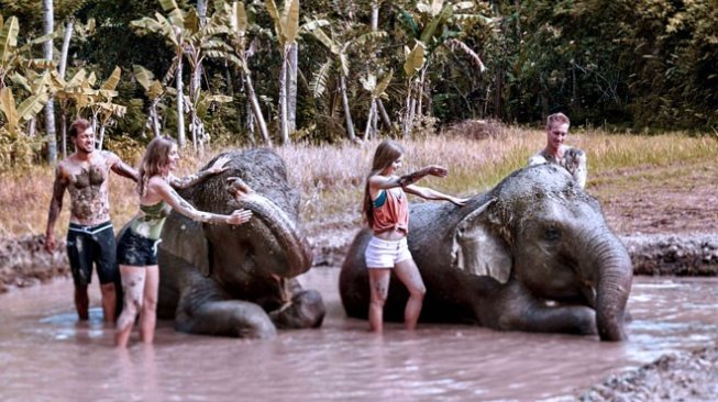 The Sanctoo Villas dan Spa and Bali Zoo Pilihan Liburan Artis
