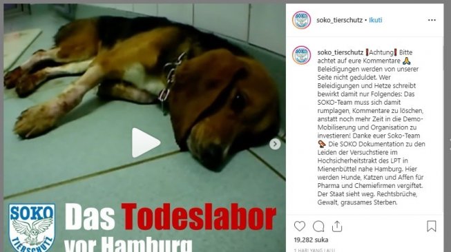 LPT Laboratory of Pharmacology and Toxicology melakukan penyiksaan kepada hewan. (instagram/@soko_tierschutz)