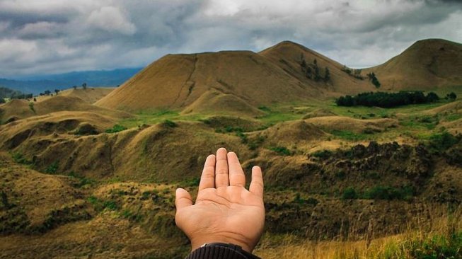 Bak di Selandia Baru, Cantiknya Permadani Hijau di Kawah Wurung Bondowoso