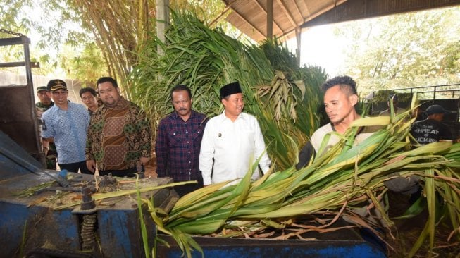 Pemdaprov Jabar akan Gelar Pelatihan Ternak Sapi untuk Santri Milenial