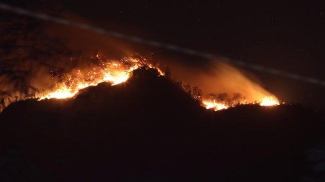 kebakaran hutan Gunung Ranti yang terlihat dari Tawonan, Banyuwangi, Jawa Timur, Sabtu (19/10). [ANTARA FOTO/Budi Candra Setya]