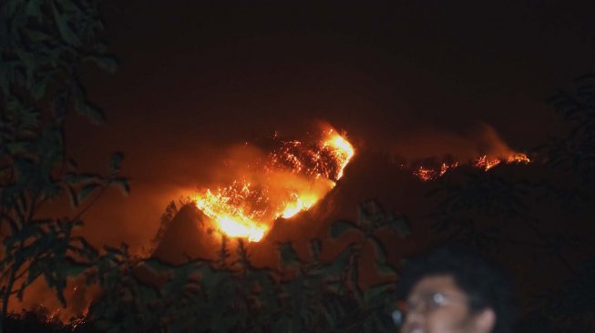 kebakaran hutan Gunung Ranti yang terlihat dari Tawonan, Banyuwangi, Jawa Timur, Sabtu (19/10). [ANTARA FOTO/Budi Candra Setya]