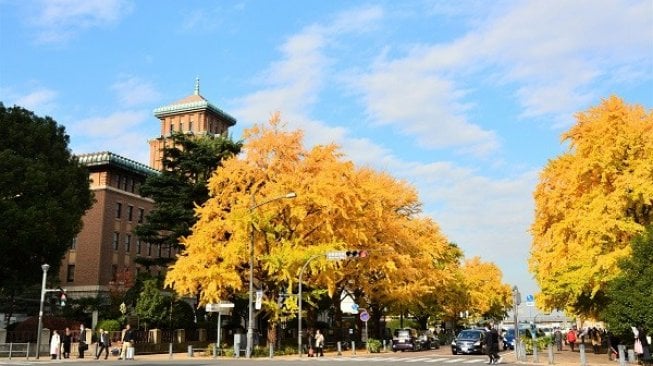 Nihon-Odori, Kota Yokohama. (Dok)