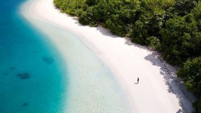 Menepi Sejenak di Pulau Peucang, Pesisir Eksotis nan Kaya Satwa