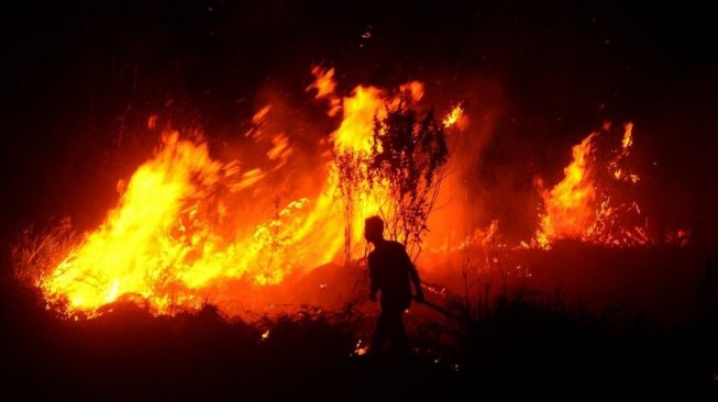 Relawan Tewas Tertimpa Dahan Pohon Saat Padamkan Karhutla di Ponorogo