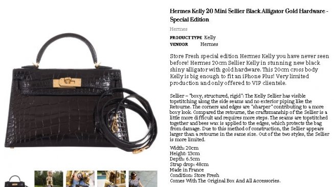 Tas Hermes Kelly 20 Seller Aligator. (janefinds.com)