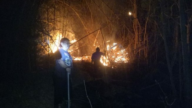 Selama Satu Dekade Tahun Ini Kebakaran Hutan di Tulungagung, Meninggi