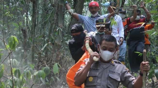 Mayat Perempuan Membawa Gulungan Uang Ditemukan Membusuk di Hutan