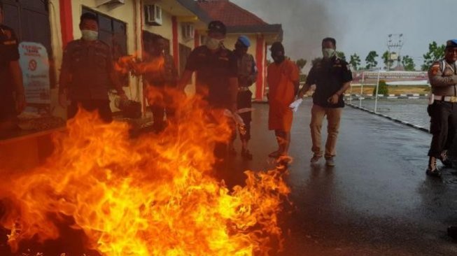 Siram Bensin, Tangan Wakapolres Bintan Hampir Terbakar saat Musnahkan Ganja