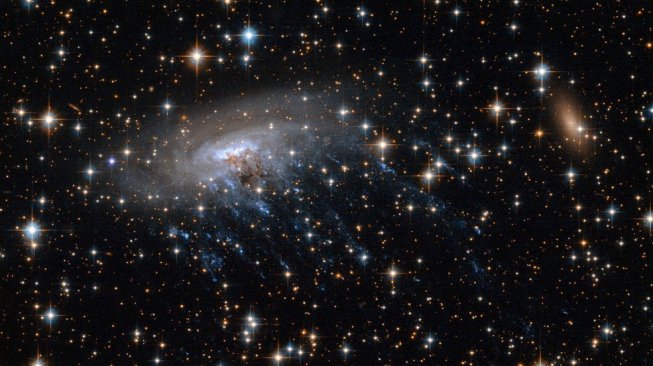 Galaksi aneh, ESO 137-001. [NASA]