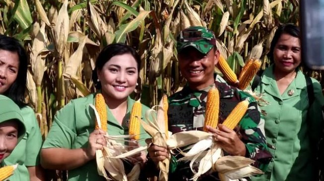Manfaatkan Lahan Tidur, Kodim Klungkung Panen Jagung
