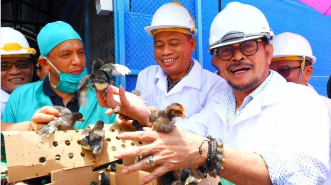 Kementan Targetkan Swasembada Daging Sapi Tercapai Secepatnya