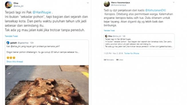 Penjelasan Marco Kusumawijaya terkait penebangan pohon di beberapa daerah Jakarta (twitter @elisa_jkt dan @mkusumawijaya)