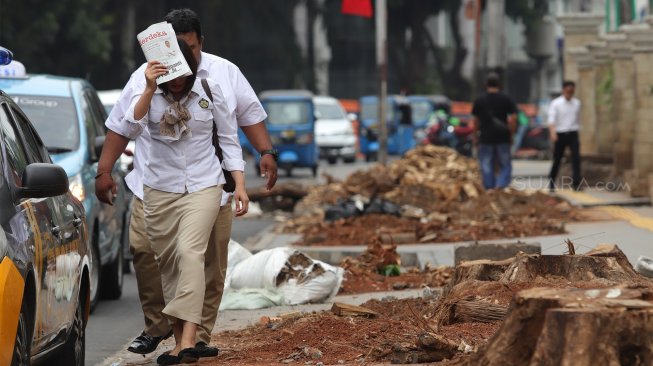 Pejalan kaki melintas di antara sisa-sisa pohon yang ditebang di trotoar di Jalan Cikini Raya, Jakarta Pusat, Senin (4/11). [Suara.com/Angga Budhiyanto]