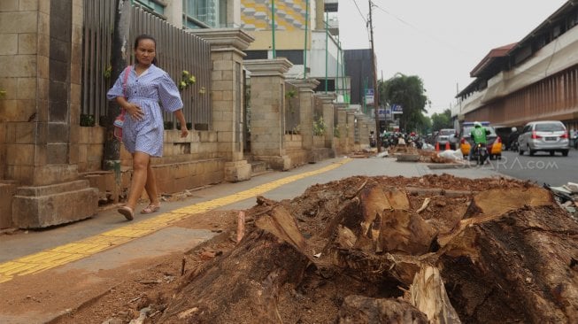 Kritik Pohon di Cikini Ditebang, KPK: Pemprov Jakarta Impor Pohon Saja Bisa