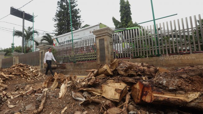 Pejalan kaki melintas di antara sisa-sisa pohon yang ditebang di trotoar di Jalan Cikini Raya, Jakarta Pusat, Senin (4/11). [Suara.com/Angga Budhiyanto]