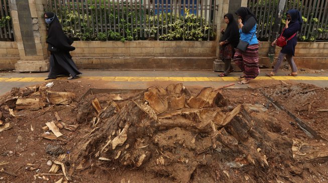 Pejalan kaki melintas di antara sisa-sisa pohon yang ditebang di trotoar di Jalan Cikini Raya, Jakarta Pusat, Senin (4/11). [Suara.com/Angga Budhiyanto]