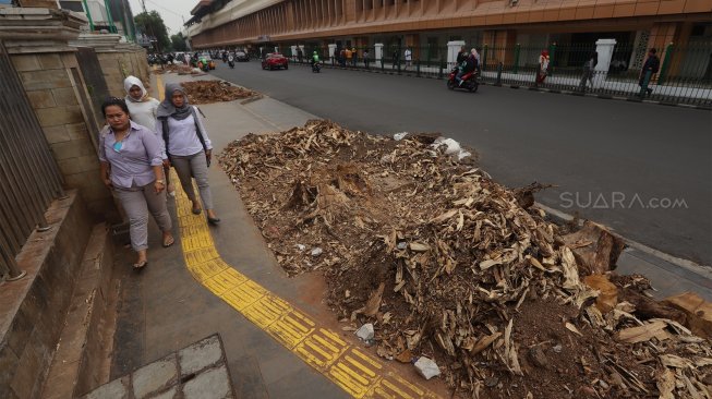 Addie MS Unggah Video Pemindahan Pohon di Singapura, Warganet Sindir Anies