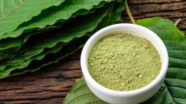 Kratom Bakal Dilarang Total Pada 2022