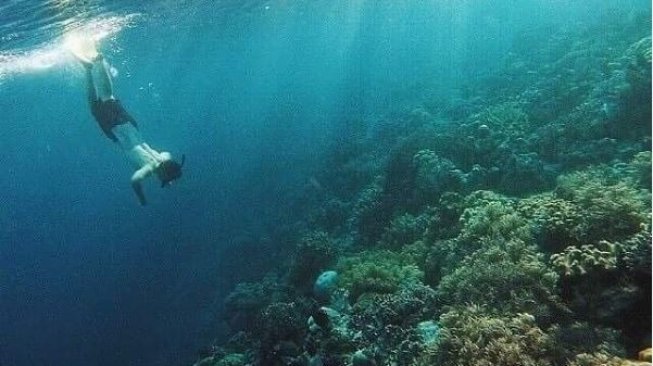 Menyelam di Pantai Sombu, Surga Bawah Laut Milik Wakatobi